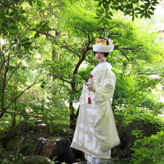 2月限定特典!花嫁衣裳2点目20%OFF