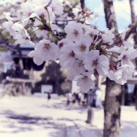 龍城神社
