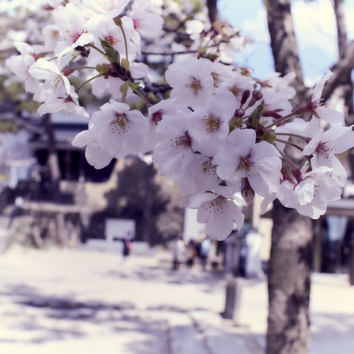 龍城神社