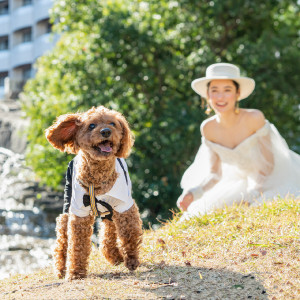 愛犬と一緒にたくさんの写真を収めて♪|シェラトン・グランデ・トーキョーベイ・ホテルの写真(44142138)