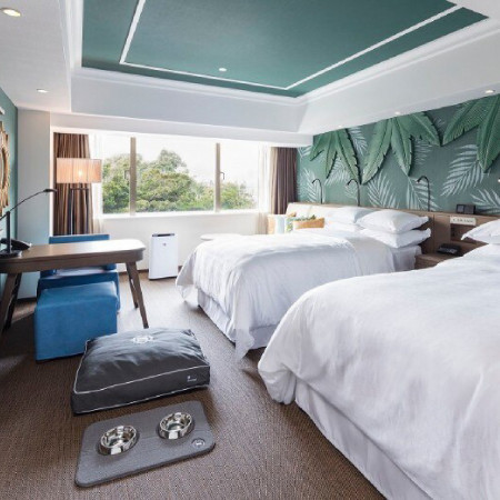 【ワンちゃんと一緒に宿泊】ドッグフレンドリールーム