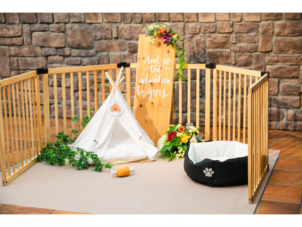 Socia21（ソシア21）