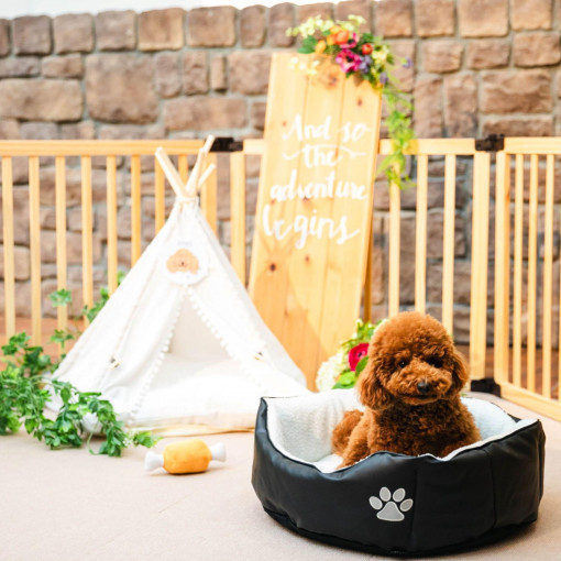 Socia21（ソシア21）