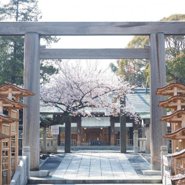 「関東のお伊勢様」で知られる、神奈川総鎮守。