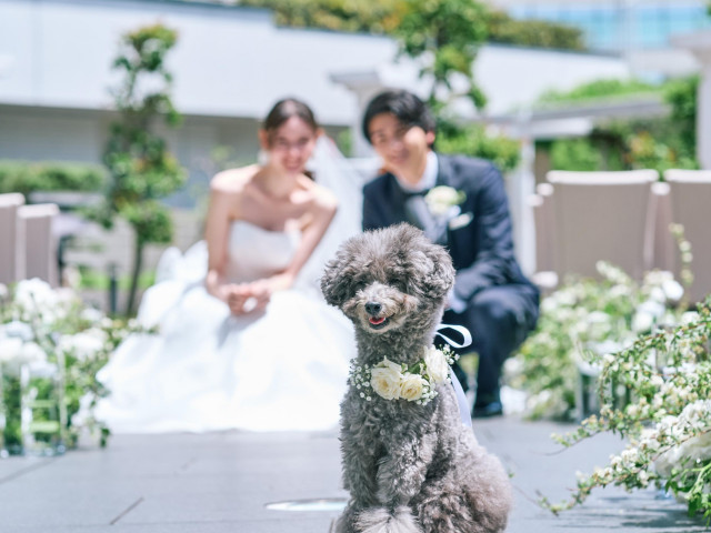 挙式いただいた方への特典