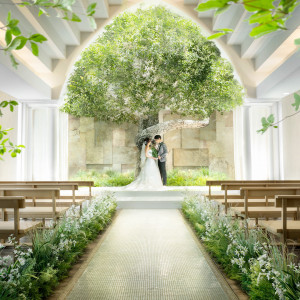 【木の下で誓う結婚式】シンボルツリーの下で誓う新スタイルの挙式が叶う、セレモニースペース「LIFE TREE（ライフツリー）」|ザ コンチネンタル横浜の写真(21141056)