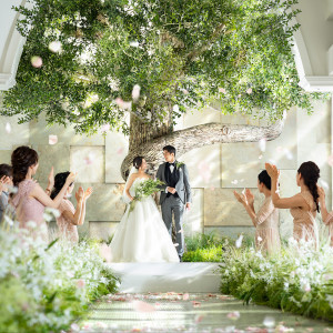 【待望のリニューアル】大きなシンボルツリーの下、陽光×緑に包まれたあたたかな結婚式が叶う。|ザ コンチネンタル横浜の写真(16448536)