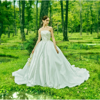 【初見学限定】《ドレス&タキシード特典》花嫁憧れの提携ドレスサロン衣裳3着計【¥275,000】割引