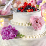 【AM限定】 5,000円相当のカタログギフトをプレゼント！