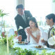 婚礼料理フルコース ～挙式のみ～
