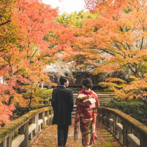 紅葉の美しいロケーションフォト|SHOZAN RESORT KYOTO(SHOZANリゾート京都)の写真(38522086)