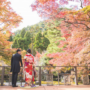 自然美に包まれて|SHOZAN RESORT KYOTO(SHOZANリゾート京都)の写真(43715156)