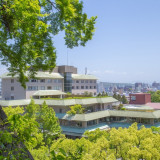 町の中心にありながら緑に囲まれています。