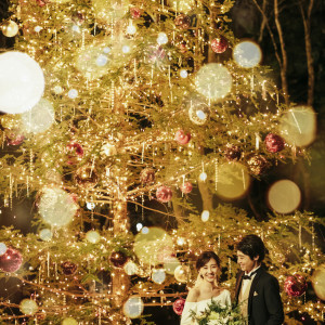 【季節の魅力 クリスマス】この時期ならではの装飾を背景に撮影をたのしもう|星野リゾート 軽井沢ホテルブレストンコートの写真(29940591)