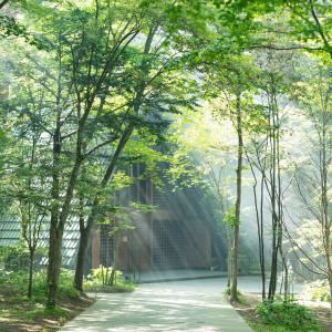 森の中に佇む教会に、木漏れ日が降り注ぐ|軽井沢高原教会の写真(3107469)