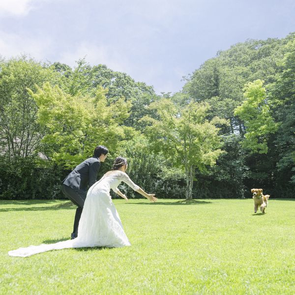 広々としたガーデンで走り回ったり、室内で一緒にのんびり過ごしたりと、愛犬にもうれしいひとときを|軽井沢高原教会の写真(52368401)