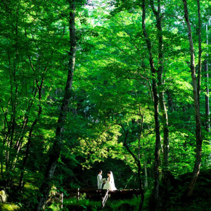 ホテル中庭に位置している妖精たちの森。緑あふれる絶好の写真スポット。|軽井沢白樺高原教会/ホテルグリーンプラザ軽井沢の写真(1354060)