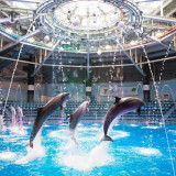 【新春抽選会】来館者全員！外れなしのホテルランチ券や水族館ペアチケットが当たる！
