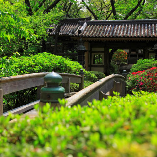 【山門】鎌倉時代中期に建立。奈良県長弓寺から1954年に当時の高輪プリンスホテルに移築。