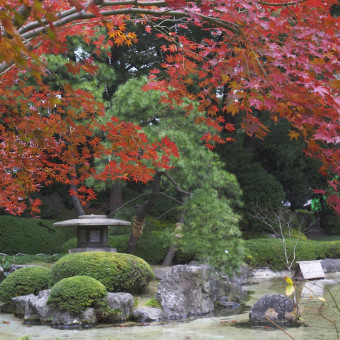 庭園は鮮やかに色づく紅葉は必見。