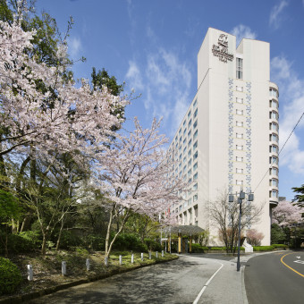 春には満開の桜を眺めることができるさくら坂