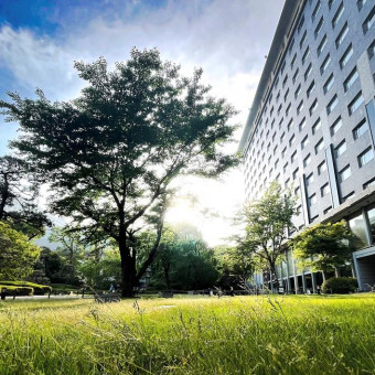 さわやかな葉が芽吹く新緑の季節。