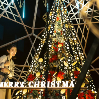 冬の装いに煌めくイルミネーション。心ときめく冬。