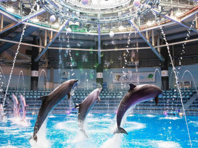 ハズレなしの抽選会