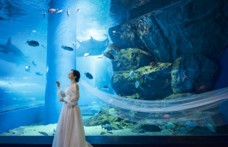 ロケーションフォト|品川プリンスホテルの写真(54359790)