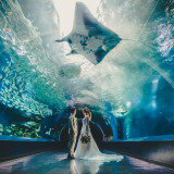 【26年3月迄の挙式ご希望の方へ】幻想的な空間で叶う＼水族館前撮り／プレゼント♪