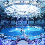 水族館年間パスポートをプレゼント♪