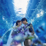 【26年3月迄の挙式ご希望の方へ】幻想的な空間で叶う\水族館前撮り/プレゼント♪