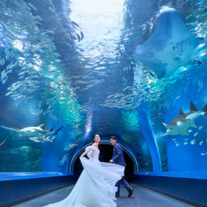 残▲水族館チケット＆豪華試食付◆光と緑の中で叶えるチャペルW