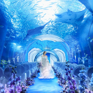 残▲2水族館年間パスポート付＆豪華試食◆緑の中で叶うチャペルW
