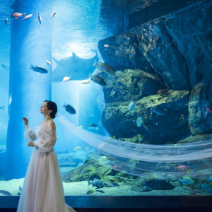 まるで映画のワンシーンのような瞬間を|品川プリンスホテルの写真(56353996)