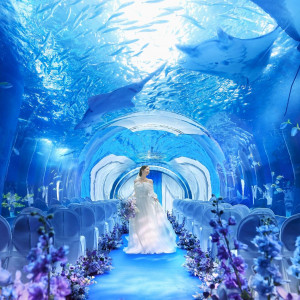 残▲水族館年間パスポート付＆豪華試食◆緑の中で叶うチャペルW