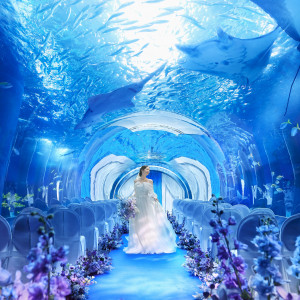 残▲水族館チケット＆豪華試食付～光と緑の中で叶うチャペルW～