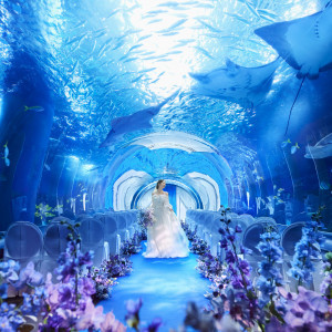 朝の水族館を貸し切り、まるで海の中で挙式をしているような『アクアマリンウエディング』|品川プリンスホテルの写真(52061482)
