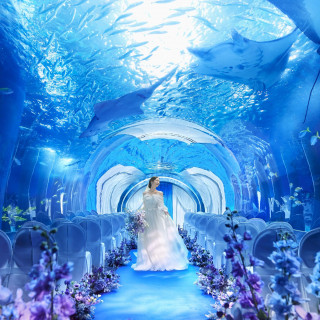 水族館年間パスポート付&豪華試食◆緑の中で叶うチャペルW