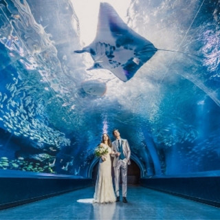 【VR体験◆水族館チケット付】大人気の水族館ウエディング相談会