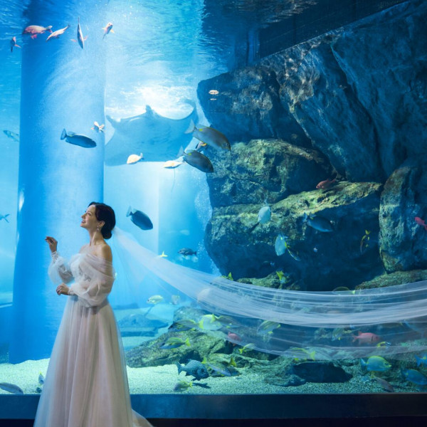 水族館での前撮り撮影は、幻想的な雰囲気に。