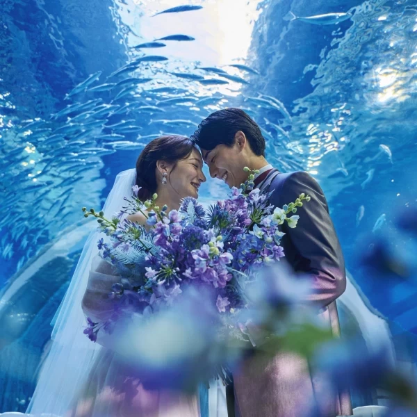 朝の水族館貸し切りのWDや前撮りとしても大人気フォトスポット