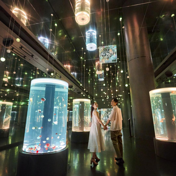 水族館挙式のお客さまには、成約特典として水族館の年間パスポートもご用意♪