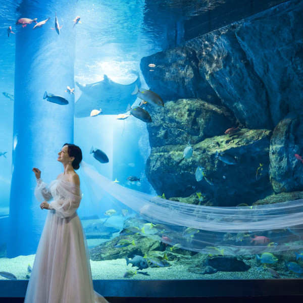 様々なフォトスポット・前撮り撮影にて、特別な一日を