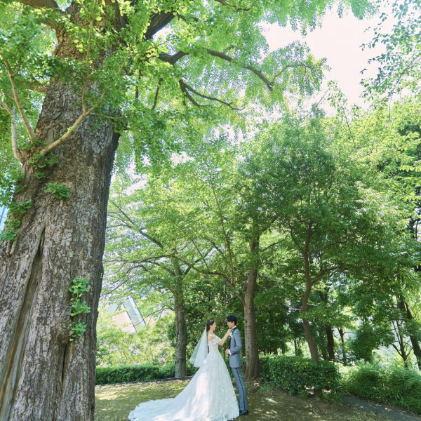 ここでしか残せない写真映えスポットが至る所に