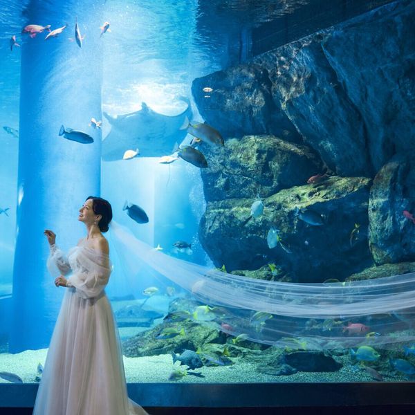 海の生き物と共に、ここでしか撮影できない瞬間を