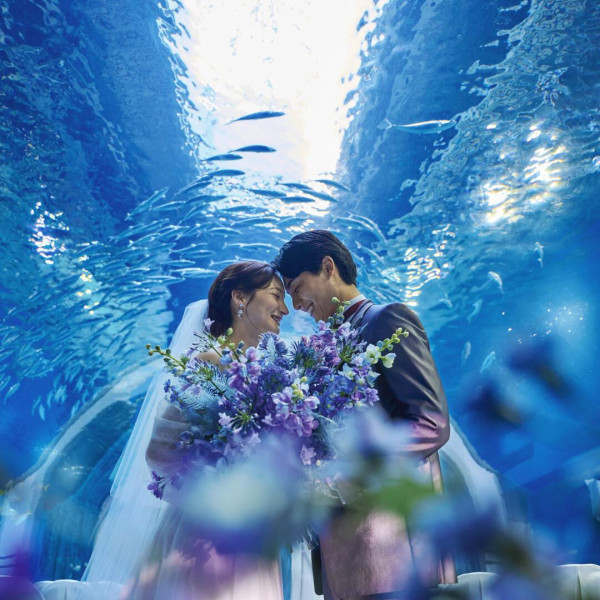 朝の水族館貸し切りのWDや前撮りとしても大人気フォトスポット