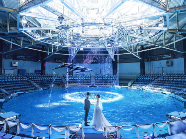 来館・成約特典あり