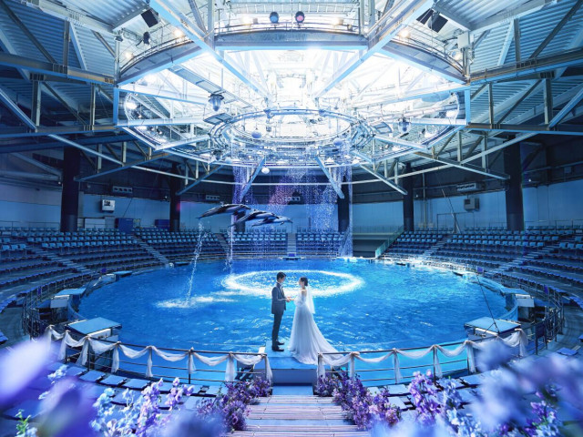 来館・成約特典あり