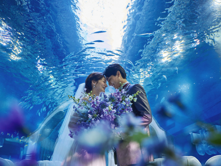 ＼品川駅から水族館まで／撮影イメージを100シーンご用意！